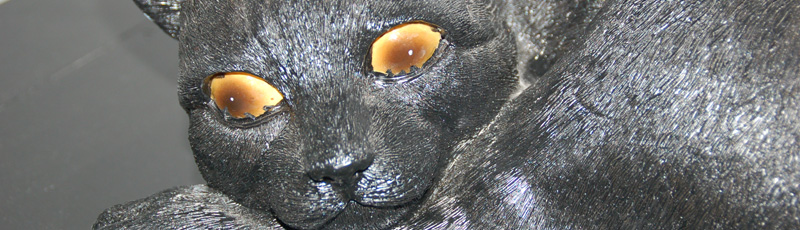 Maison de vacances Juliette